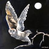 Owl by Moonlight